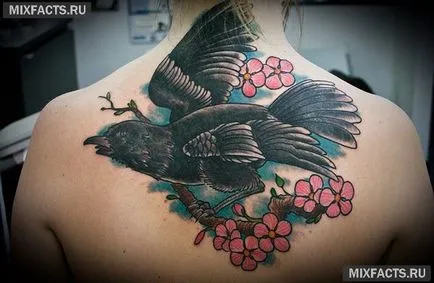 Bird tetoválás jelentősége és fotók (fontos madár tetoválás) Bird tetoválás jelentősége és fotók