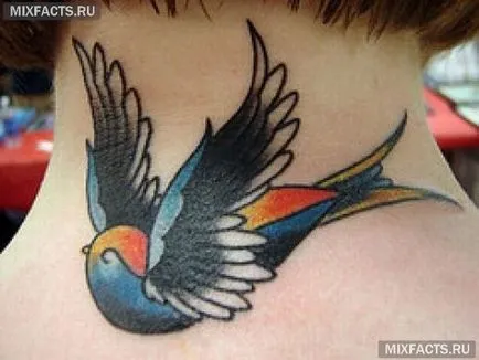 Bird tetoválás jelentősége és fotók (madarak) Bird tetoválás jelentősége és fotók