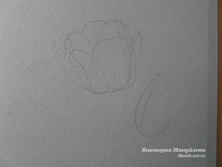 Rajzolj egy csokor tulipán
