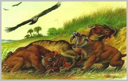 Fogazott tigris - hatalmas macska él, mint egy farkas - tensegrity Castaneda Moszkva csoport (17 centiméter szemfogak) Fogazott tigris - hatalmas macska, hogy úgy él, mint egy farkas - Carlos Castaneda tensegrity Moszkva csoport