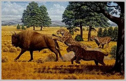 Fogazott tigris - hatalmas macska, hogy úgy él, mint egy farkas - Carlos Castaneda tensegrity Moscow csoport (cat) Fogazott tigris - hatalmas macska, hogy úgy él, mint egy farkas - Carlos Castaneda tensegrity Moszkva csoport