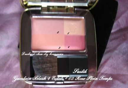 Blush pirosító 4 Eclats (árnyalat száma 05 rose plein temps) által Guerlain - vélemények, fényképek és ár (száraz pirulás) Blush pirosító 4 eclats (árnyalat száma 05 rose plein temps) által Guerlain - vélemények, fényképek és ár