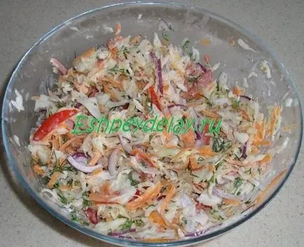 Káposztasaláta paradicsom - recept fotókkal (káposzta) Káposztasaláta paradicsom - recept fotókkal