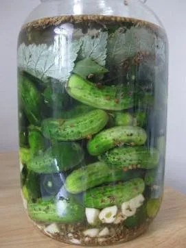 A legegyszerűbb, hogy készítsen sós uborka (1 liter víz)