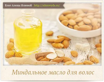 A leghasznosabb olajok haj és alkalmazások (makadámia olaj) A leghasznosabb olajok haj és alkalmazások