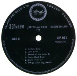 Titkosszolgálat vinyl mániákus cikk