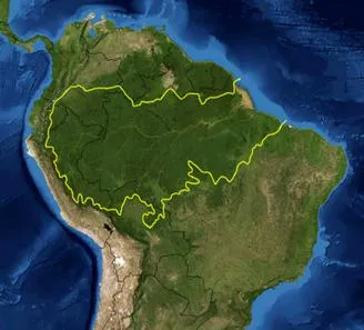 Selva egzotikus világ Amazon, hasta pronto