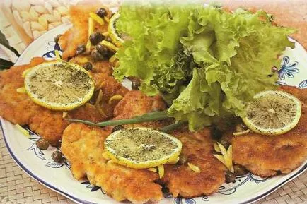 Schnitzel svininy- legjobb receptek, fotók és videók (sertés szelet legjobb receptek fotó video főzni sütőben megsütjük serpenyőben) Schnitzel svininy- legjobb receptek, képek és videó