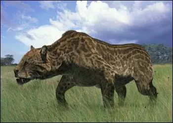 Smilodon kardfogú macskák és egyéb