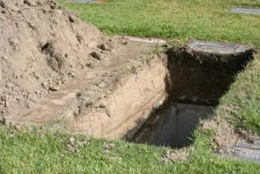 Álmok, alakváltó mi álmok sír