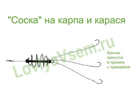 Foglalkozik a ponty, ami kulcsfontosságú lépés a fogása trófea (kézzel) Foglalkozik a ponty, ami kulcsfontosságú lépés a fogása trófea