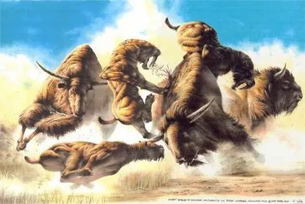 Smilodon kardfogú macskák és egyéb