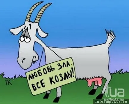 Vicces juh és kecske vicces képek kecskét és juhot, fényképek, rajzok, fun kos vagy szórakoztató