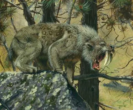 Smilodon kardfogú macskák és egyéb