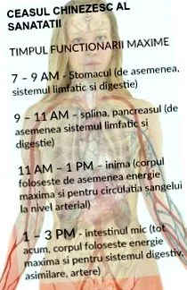 méregtelenítés