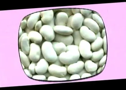 zendiet