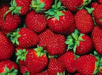 Versek mintegy nyáron egy óriási a választék a legjobb versek nyár