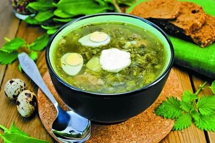 Csalánlevest - 5 bevált receptek és tanácsokat fagyasztás (Nettles forrázott) Csalánlevest - 5 bevált recepteket és tanácsokat fagyasztás