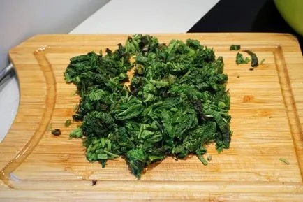 Csalánlevest - 5 bevált receptek és tanácsokat fagyasztás (Nettles forrázott) Csalánlevest - 5 bevált recepteket és tanácsokat fagyasztás