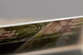 Esküvői meghívók, stúdió monobayt