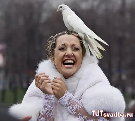 Esküvői balesetek - egy esküvői portál itt esküvő (menyasszonyi) Esküvői balesetek - esküvői portált Wedding