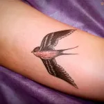 Bird tetoválás azaz fotók, vázlatok (tetoválás) Bird tetoválás azaz fotók, vázlatok