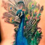 Bird tetoválás azaz fotók, vázlatok (vázlatok) Bird tetoválás azaz fotók, vázlatok