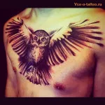 Bird tetoválás azaz fotók, vázlatok (madár tetoválás) Bird tetoválás azaz fotók, vázlatok
