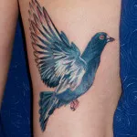 Bird tetoválás azaz fotók, vázlatok (vázlatok) Bird tetoválás azaz fotók, vázlatok