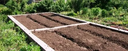 Greenhouse egy bárban a kezével