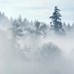Fog leírása, okok, típusok (fotó) (cseppek nagyobb) Fog leírás, okai, típusai (fotók)