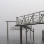 Fog leírása, okok, típusok (fotó) (megjelenés) Fog leírás, okai, típusai (fotók)