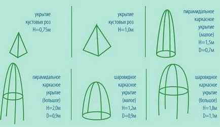 Shelter rózsák téli hogyan lehet a legjobban eltölteni hordozó rózsák, tekintettel a különböző (jobb) Shelter rózsák téli hogyan lehet a legjobban eltölteni hordozó rózsa adott évfolyam