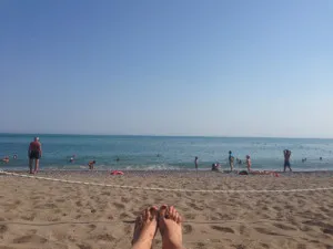 Figyelem magyar élet pulyka!