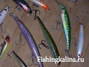 Minnow crankbaits (minnow) - kérdésekre adott válaszok a megállapításaikat horgászok