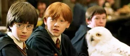 Harry Potter univerzum