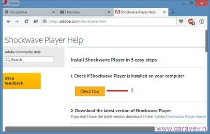 Visszaállítása hiba Shockwave Flash player opera, számítógépes problémák