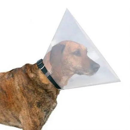 Nyakörv - védelem a kutyák nem a kezüket - dogcollar - lőszer és kiegészítők kutyáknak (gallér) Nyakörv - védelem a kutyák nem a kezüket - dogcollar - lőszer és kiegészítők kutyáknak