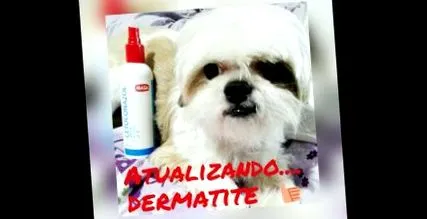 dermatitis