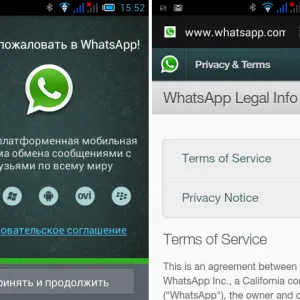 WhatsApp Messenger (vatsap) - azaz, amit szükséges, és mi a jó, hogy milyen program, a működési elve