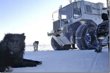 Rejtélyes North Pole