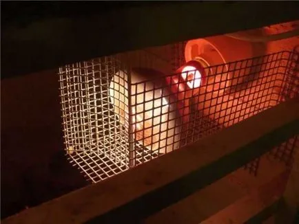 Téli coop kezük tippek, titkok, fotó és videó