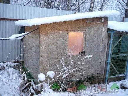 Téli coop kezük tippek, titkok, fotó és videó