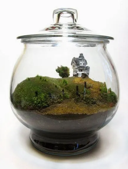 10 Amazing ötletek növekvő moha az otthoni (feltételek) 10 Amazing ötletek növekvő moha otthon