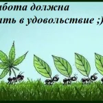 15. hogy hogyan lehet a napi szervezett