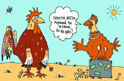 Viccek a kakasok és tyúkok - a legnevetségesebb és rövid (viccek kakas csirke) Viccek a kakasok és tyúkok - a legnevetségesebb és rövid