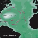 Bermuda-háromszög rejtélyek, találós kérdések, történetek (fotók, videó) (háromszög) Bermuda-háromszög rejtélyek, találós kérdések, történetek (fotók, videó)