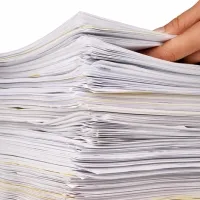 Üzleti eper növekvő profit friss bogyós