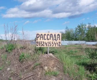 Üzleti palánták