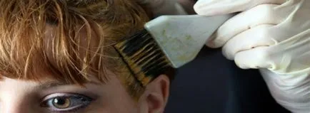 Bezammiachnoy paint-mousse paletta L'Oreal